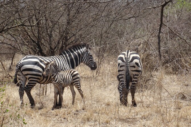 5Days Omo Valley Tour - Frequently Asked Questions