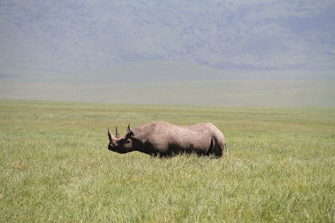 6-Day Big Five Magic Safari Tour - The Sum Up