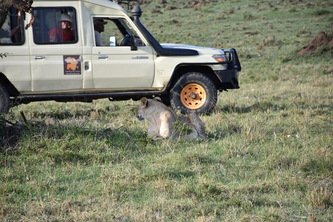 6-Day Experience the Wild Masai Mara Reserve - Price and Booking