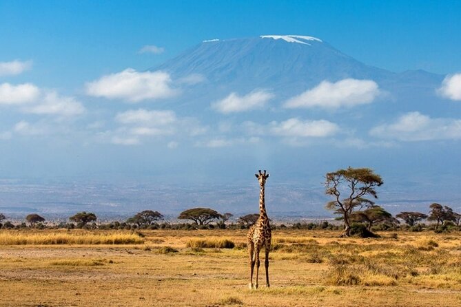 6-Day Kenya Safari to Masai Mara, Lake Nakuru and Amboseli - Safety and Health Measures