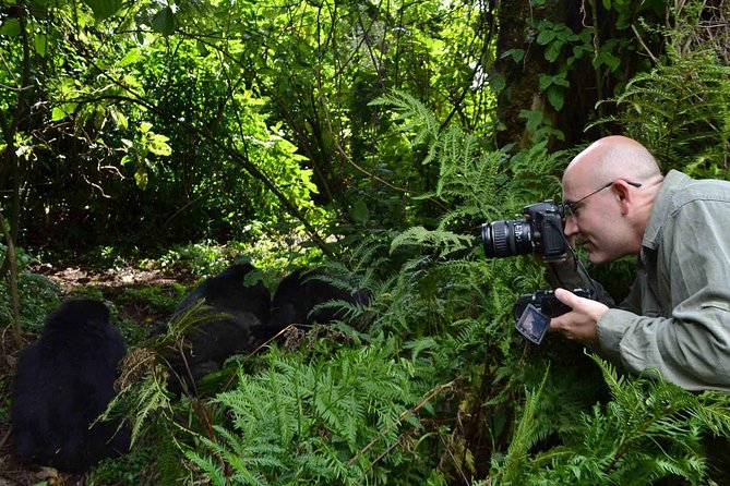 6 Days Chimps, Gorillas & Murchison Falls Africas Big Five Experience Safari - The Sum Up