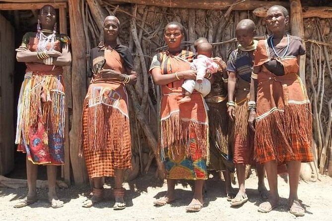 6 Days Extreme Cultural Experience & 2 Days Wildlife Safari - Accommodations and Meals
