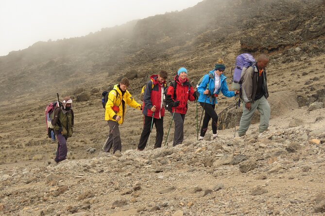 6 Days Kilimanjaro Hiking | Climbing Kilimanjaro by Lemosho Route - Post-Climb Reflections
