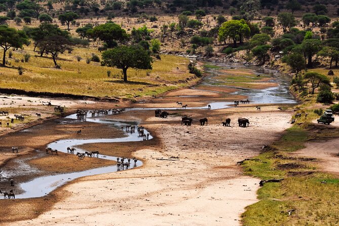 6 Days Luxury Safari Tarangire, Ngorongoro, Serengeti and Manyara - Safari Activities and Experiences