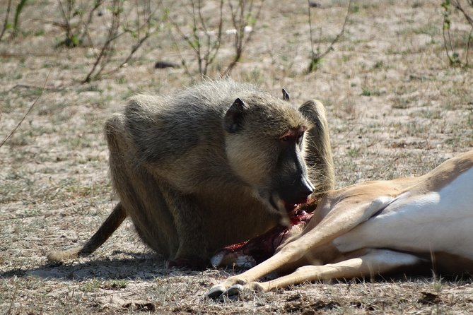 6 Days Safari to Mikumi Np, Udzungwa Mountain NP and Nyerere NP (Selous GR) - Booking and Cancellation Policies