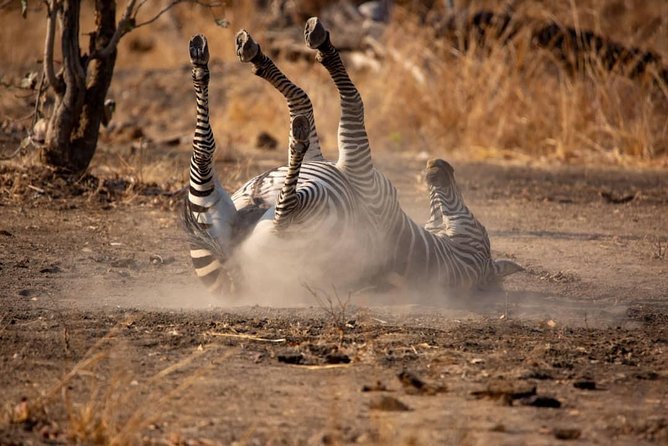6 Days Selous ,Mikumi Udzungwa National + Boat Safari +Masai Culture - Boat Safari Experience