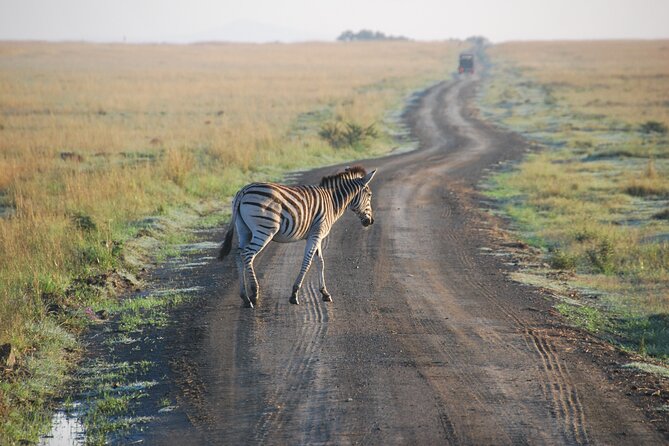 6 Days the Best of Tanzania Private Safari - Cultural Experiences