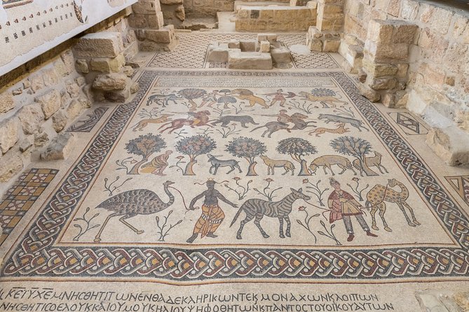 6-Night Best of Jordan Tour From Amman: Jerash, Dead Sea, Petra, and Wadi Rum - Reviews and Testimonials