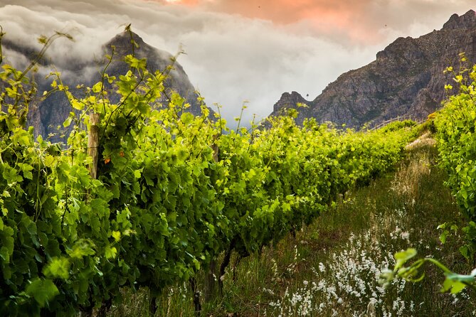 7-Day Cape Town and Karongwe Private Safari Package - Cancellation Policy