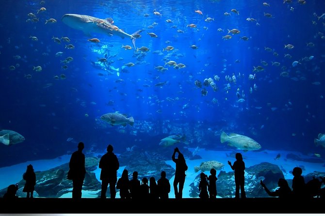 7-Day Family Tour Istanbul - Tour Logistics