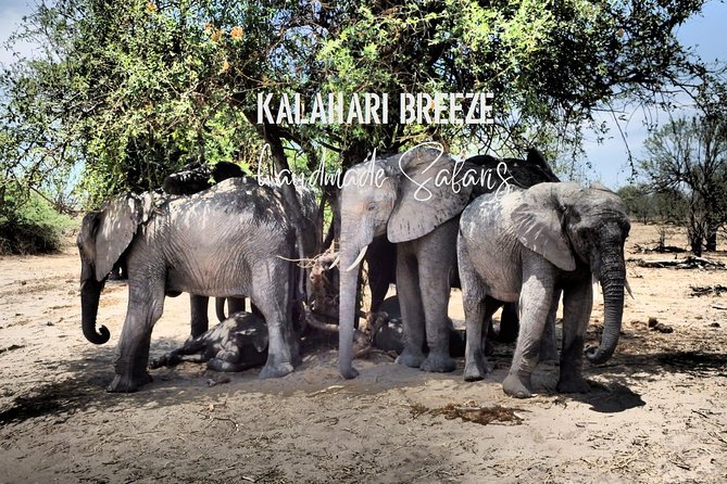 7 Day Highlights Of Botswana Overland Tour – ACCOMODATED (midrange) - Traveler Reviews
