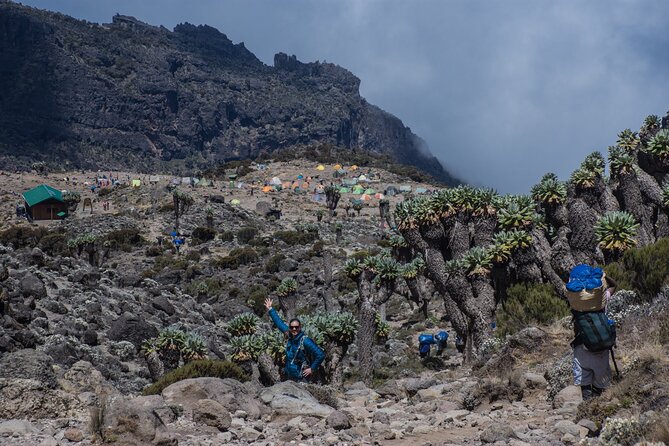 7 Day Kilimanjaro Machame Climb - Frequently Asked Questions