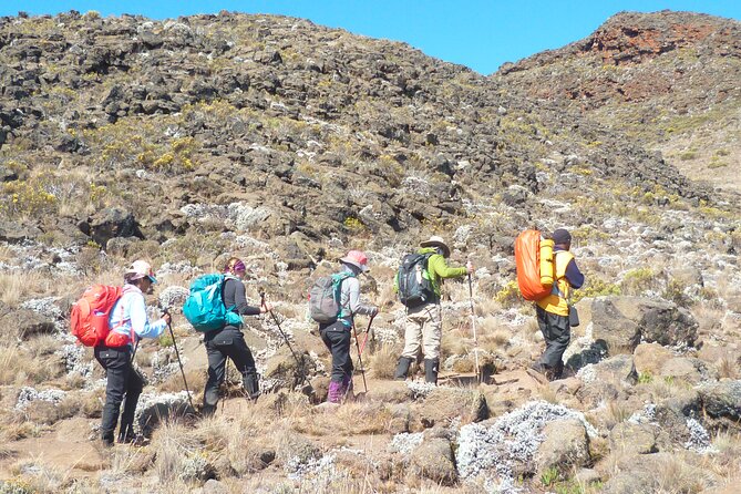 7 Day Kilimanjaro Rongai Climb - What To Expect and Additional Info