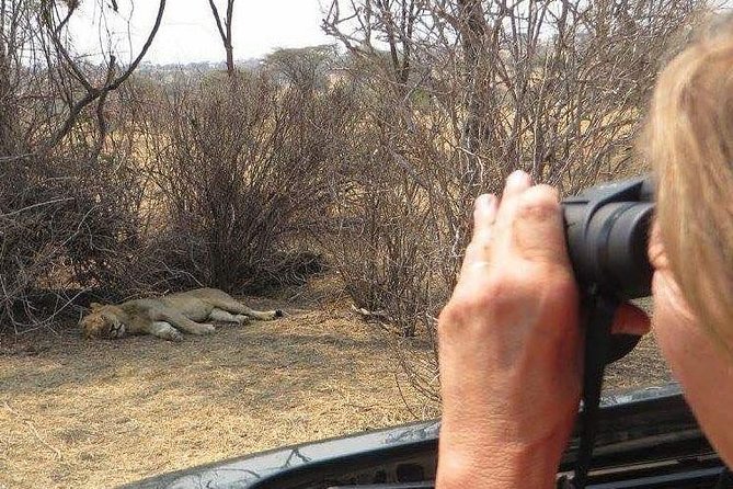 7 Days, 6nights Safari To Ruaha National Park & Mikumi National Park - Tanzania
