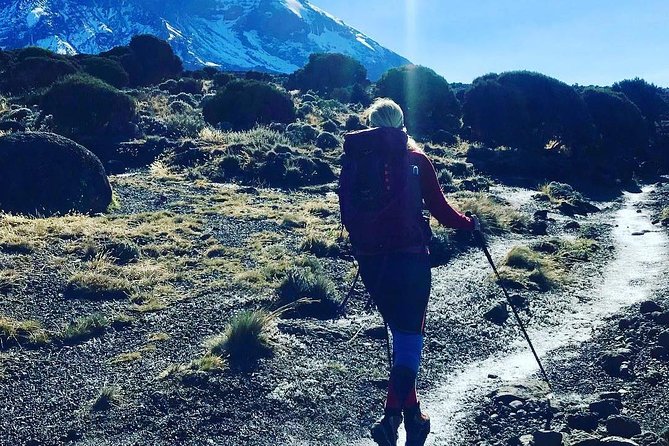 7 Days Kilimanjaro Rongai Route Program - Meeting Point and Start Time