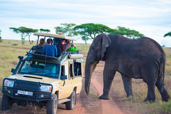 7 Days Lodge Safari. - The Sum Up