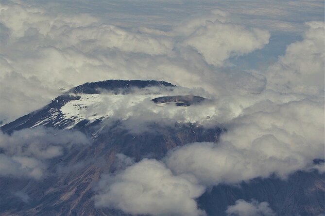 7 Days Rongai Route Climbing Kilimanjaro - Day 1: Arrival in Arusha
