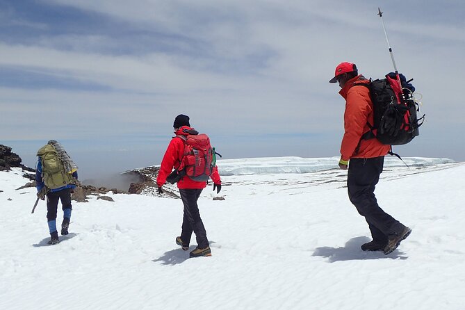8 Day Kilimanjaro Private Climb via Lemosho Route - The Sum Up