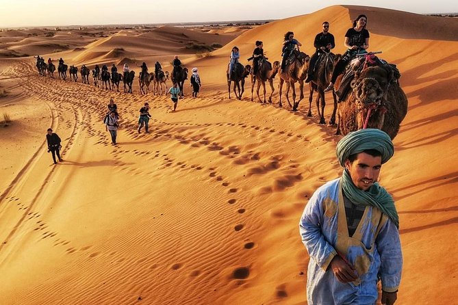8 Day Trip to Sahara Desert and 4 Imperial Cities - Additional Information