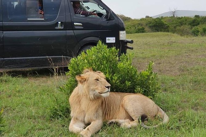 8 Days Kenya Tanzania Combined Holiday Safari Adventure - Itinerary Highlights