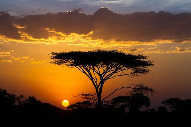 8 Days Private Safari to Southern Circuit Parks of Tanzania - Itinerary Overview