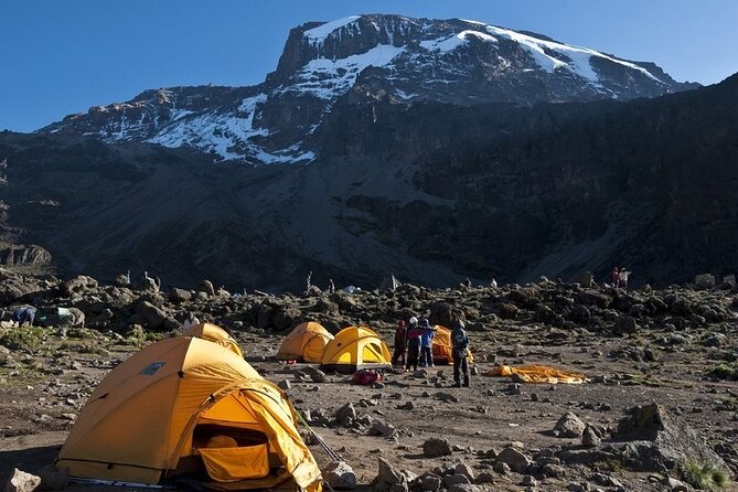 9 Days Kilimanjaro Hiking [ Climbing ] via Northern Circuit Route - The Sum Up