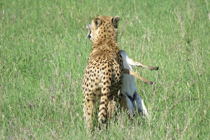 9 Days Safari To See Great Migration Crossing - Final Thoughts and Tips