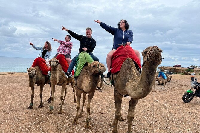 A Full Day-Private City, Sightseeing and Cultural Tour in Tangier