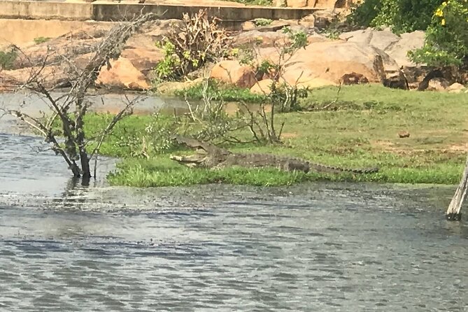 A Multi Day Tour Around Sri Lanka With Our Personal Driver - Meals and Dining Options