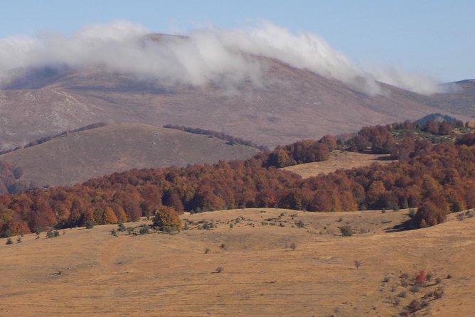 A Walking Over the Jurassic Sea: One Day Trip From Sofia - Additional Tips