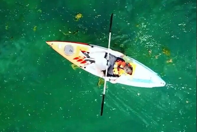 Adventure Kayak on Bunica River: Bbq/Veggie Lunch & Wildlife - Important Reminders