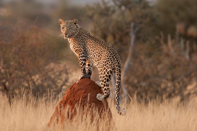 Adventure Silver Safari - Highlighted Activities
