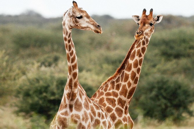 African Safari Namibia - Meal Inclusions and Dining Options