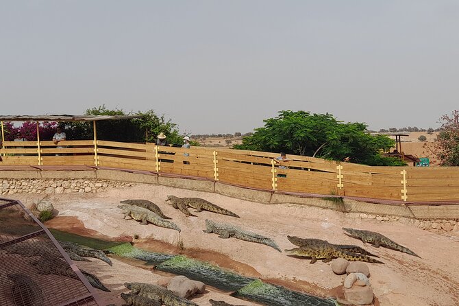 Agadir Crocoparc Tour With Local Guide - Additional Information