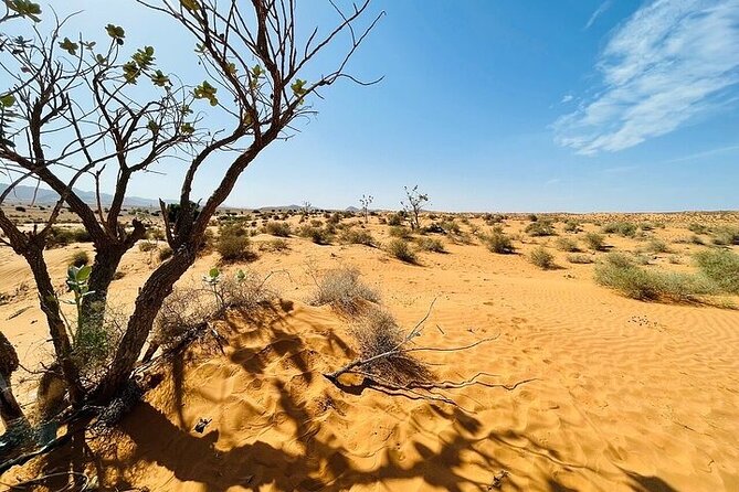 Agadir Jeep Safari 4x4 Desert Adventures - Reviews and Ratings