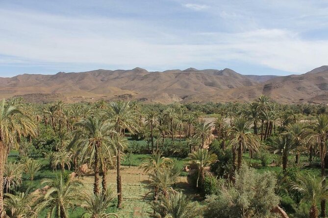 Agdez Palmery and Kasbah Tamnougalt With The Special History - Impact on Local Communities
