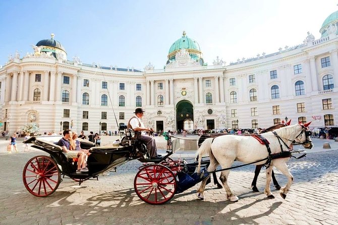 Airport Transfer: Vienna to Vienna Airport VIE by Luxury Van - Booking Options