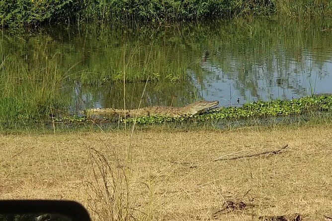 Akagera National Park One Day Safari Experience - Picnic Lunch