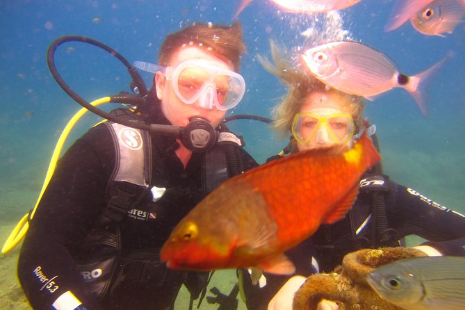 Alanya: Scuba Diving Experience for Beginners - What To Expect During Diving