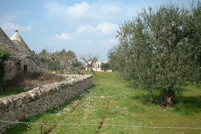 Alberobello - Unusual and Instagrammable Trulli - Urban Trail - Tour Highlights