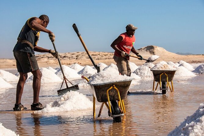 All Inclusive Full-Day Tour in Sal Island (Lunch and All Fees Included) - Cancellation Policy