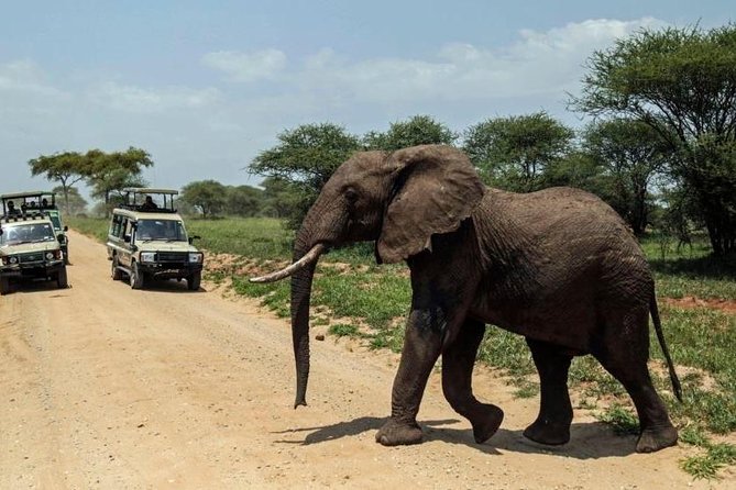 Amboseli National Park 3-Day Safari - Park Admission Information