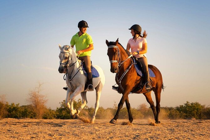 Antalya Horse Riding Forest and Beach - Booking Information