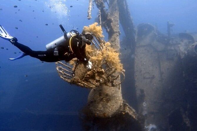 Aqaba Private Scuba Diving Activity With Pick up - Frequently Asked Questions