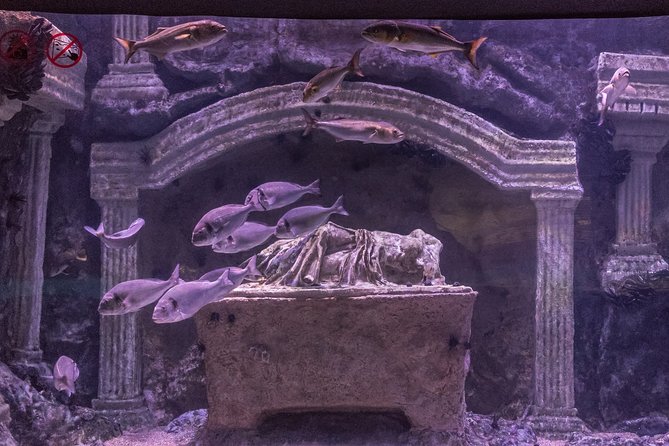 Aquarium & Face2face Wax Museum From Kemer - Pricing & Group Size