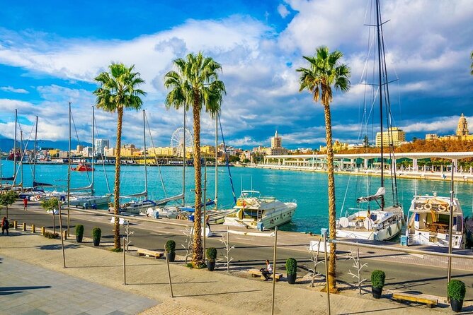 Arrival Transfer: Malaga Airport AGP to Malaga by Luxury Van - The Sum Up