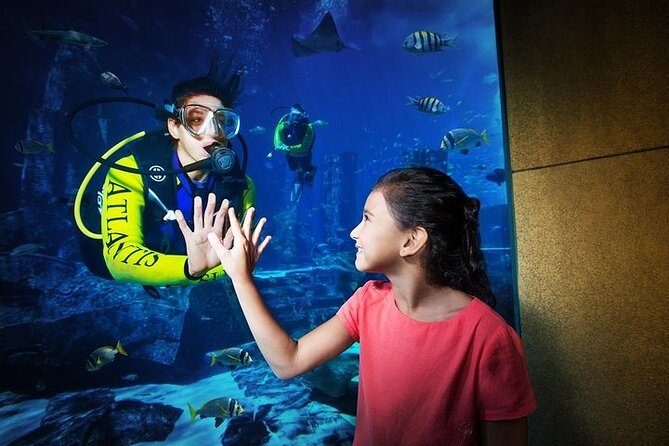 Atlantis Combo: Aquaventure & Lost Chambers With Transfers Option - Accessibility Information