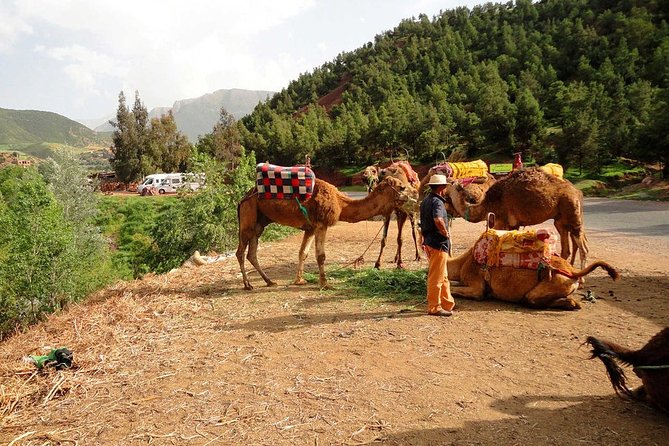 Atlas Mountains and 4 Valleys Tour From Marrakech With Camel Ride - Additional Information