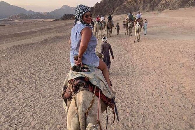 ATV Safari Quads, Camels & BBQ Dinner Sharm El Sheikh - Price Details