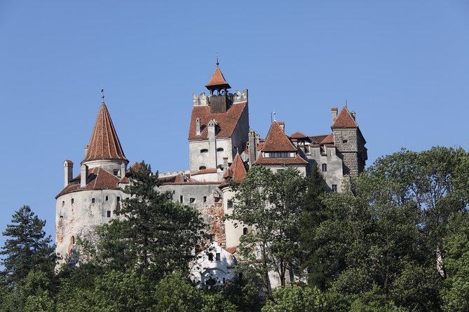 Bears Libearty Sanctuary and Bran Castle Day Trip - The Sum Up